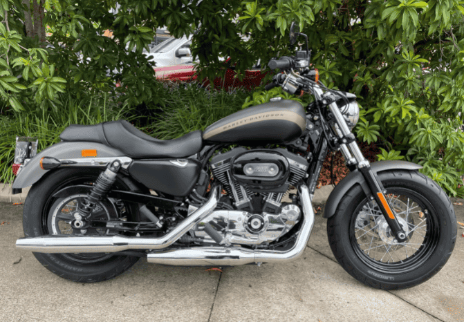 2019 Harley-Davidson 1200 Custom (XL1200C)