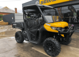 2019 Can-Am Defender HD8 DPS