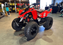 2020 Can-Am DS 90 X