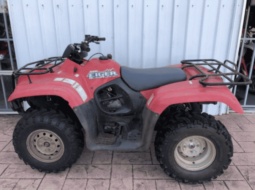 2002 Suzuki Eiger 400 Manual 2WD (LT-F400)