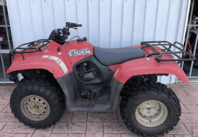 2002 Suzuki Eiger 400 Manual 2WD (LT-F400)