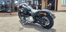 
										2021 Harley-Davidson Slim 107 (FLSL) full									