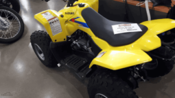 
										2020 Suzuki QuadSport Z50 (LT-Z50) full									