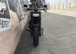 2019 Harley-Davidson Fat Bob 107 (FXFB)