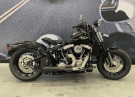 2008 Harley-Davidson Cross Bones 96 (FLSTSB)