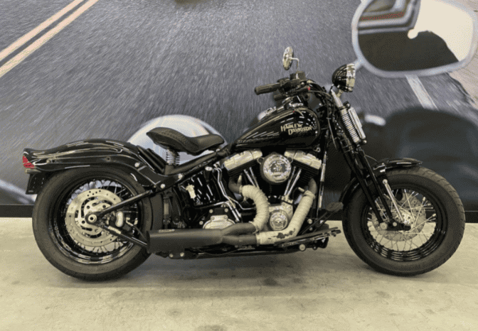 2008 Harley-Davidson Cross Bones 96 (FLSTSB)