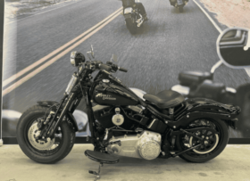 2008 Harley-Davidson Cross Bones 96 (FLSTSB)