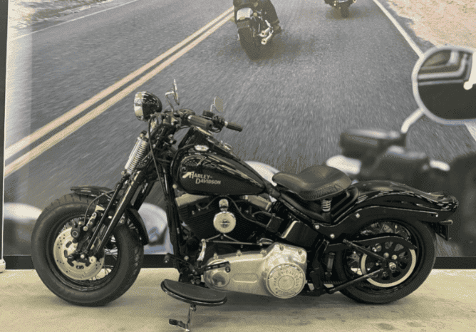 
								2008 Harley-Davidson Cross Bones 96 (FLSTSB) full									