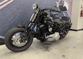 2008 Harley-Davidson Cross Bones 96 (FLSTSB)