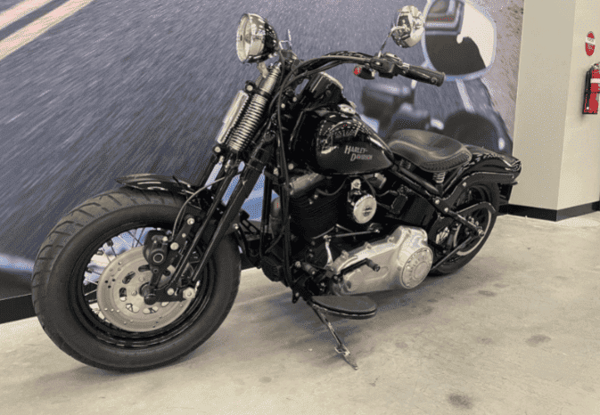 
								2008 Harley-Davidson Cross Bones 96 (FLSTSB) full									