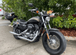 2019 Harley-Davidson 1200 Custom (XL1200C)