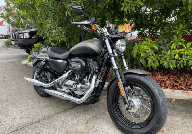 
								2019 Harley-Davidson 1200 Custom (XL1200C) full									