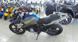 
										2020 BMW G 310 GS full									