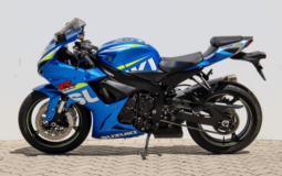 
										2014 Suzuki GSX-R600 full									