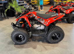 2020 Can-Am DS 90 X