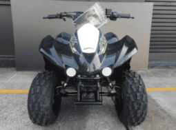 
										2021 Kawasaki KFX90 full									