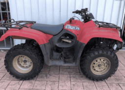 2002 Suzuki Eiger 400 Manual 2WD (LT-F400)