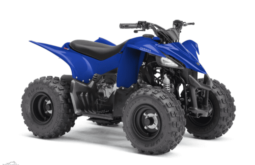 
										2021 Yamaha YFZ50 full									