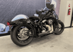 
										2008 Harley-Davidson Cross Bones 96 (FLSTSB) full									