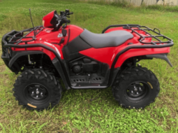 2015 Suzuki KingQuad 750AXi (LTA750X)