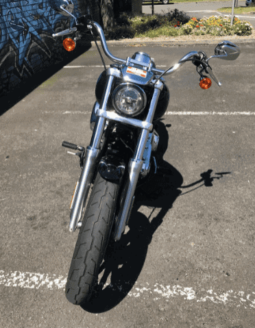 
										2019 Harley-Davidson Low Rider 107 (FXLR) full									