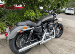 2019 Harley-Davidson 1200 Custom (XL1200C)