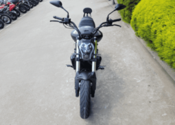 
										2021 Benelli 502C full									