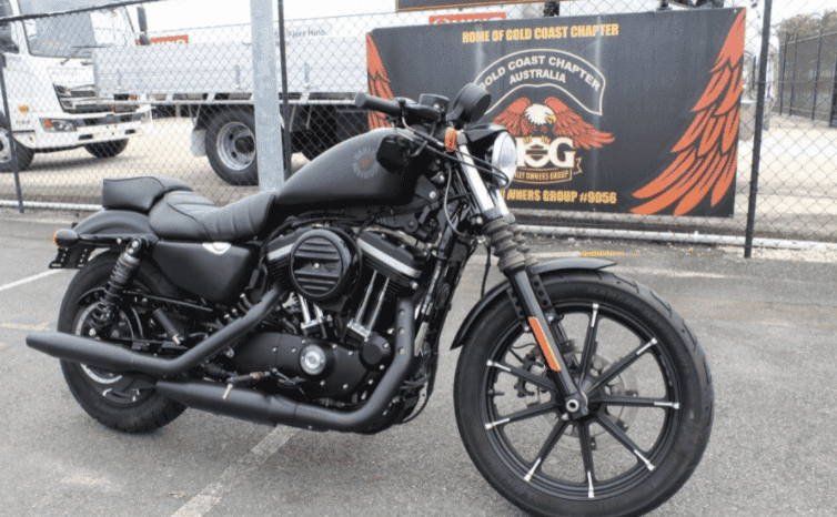 
								2019 Harley-Davidson Iron 883 (XL883N) full									