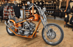 
										2013 Chopper Custom full									