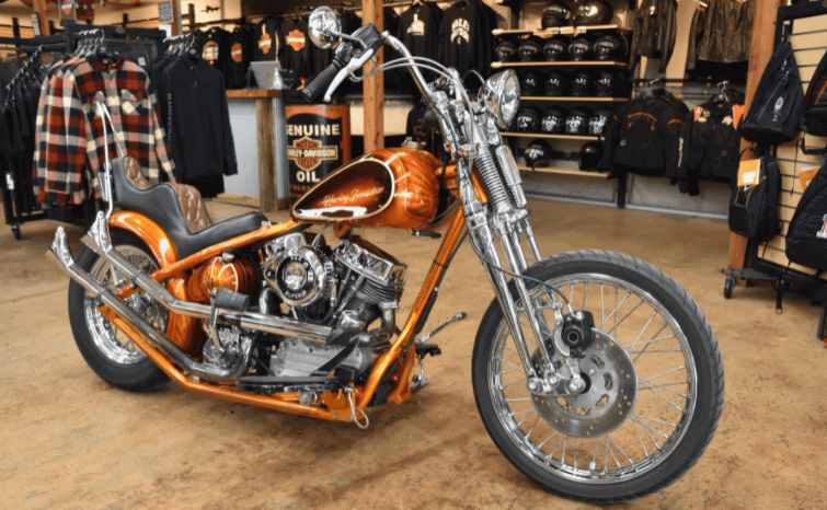 
								2013 Chopper Custom full									