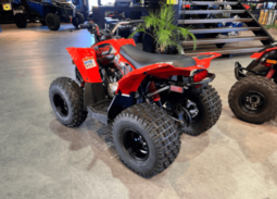 2020 Can-Am DS 90 X