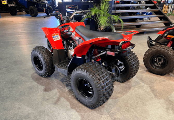 
								2020 Can-Am DS 90 X full									