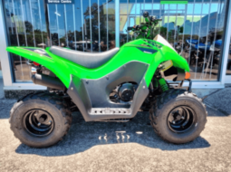 
										2020 Kawasaki KFX50 full									