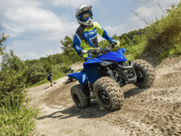 
										2021 Yamaha YFZ50 full									