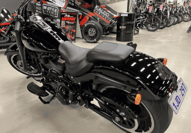 
								2020 Harley-Davidson Fat Boy 114 Anniversary (FLFBSANV) full									