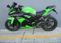 2013 Kawasaki Ninja 300 ABS (EX300B)