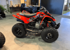 2020 Can-Am DS 90 X