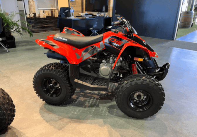 
								2020 Can-Am DS 90 X full									