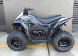 
										2021 Kawasaki KFX90 full									