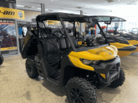 2020 Can-Am Defender HD8 DPS