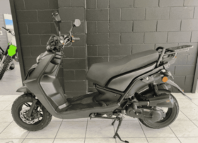 2021 Znen Naked Tiger