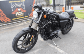 2019 Harley-Davidson Iron 883 (XL883N)