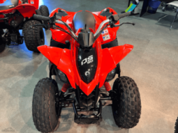 2020 Can-Am DS 90 X