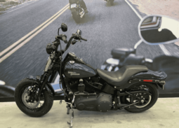 2009 Harley-Davidson Cross Bones 96 (FLSTSB)