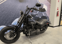 2009 Harley-Davidson Cross Bones 96 (FLSTSB)