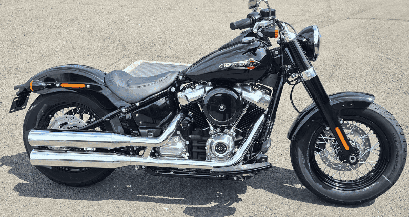 2021 Harley-Davidson Slim 107 (FLSL)