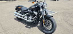 
										2021 Harley-Davidson Slim 107 (FLSL) full									