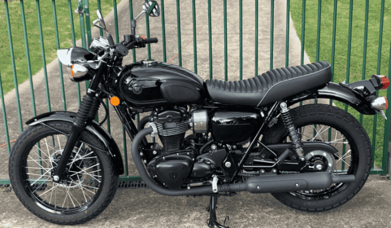 
								2015 Kawasaki W800 SE full									