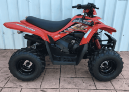 
										2020 Kymco MAXXER 50 full									