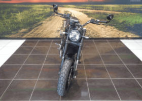 2020 Ducati Scrambler 1100 Pro